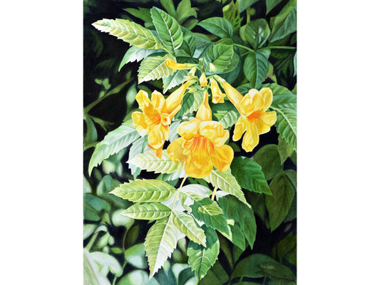 Trumpet  Flower Painting Fine Art Print