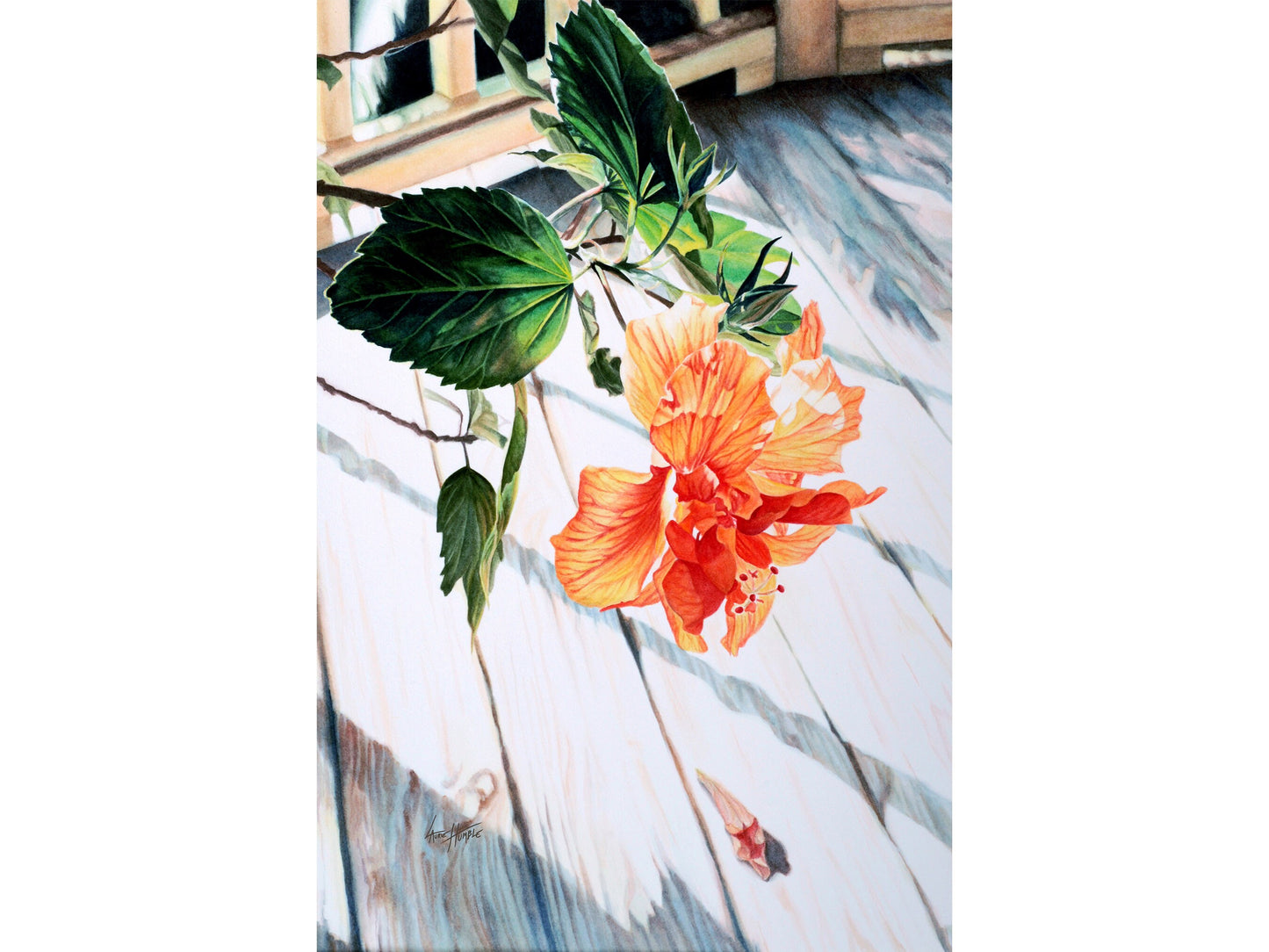 Fleeting Beauty — Limited Edition Fine Art Print