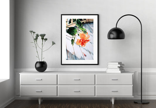 Bring Museum-Worthy Art Into Your Home