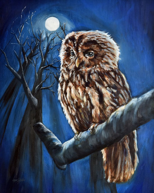 Night Owl Original Oil Painting