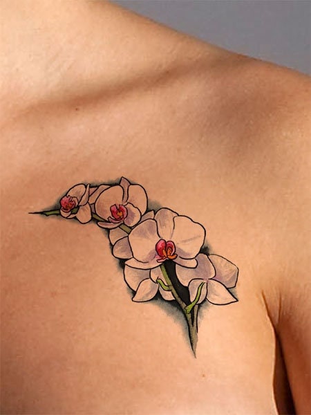 Orchid Tattoo Design