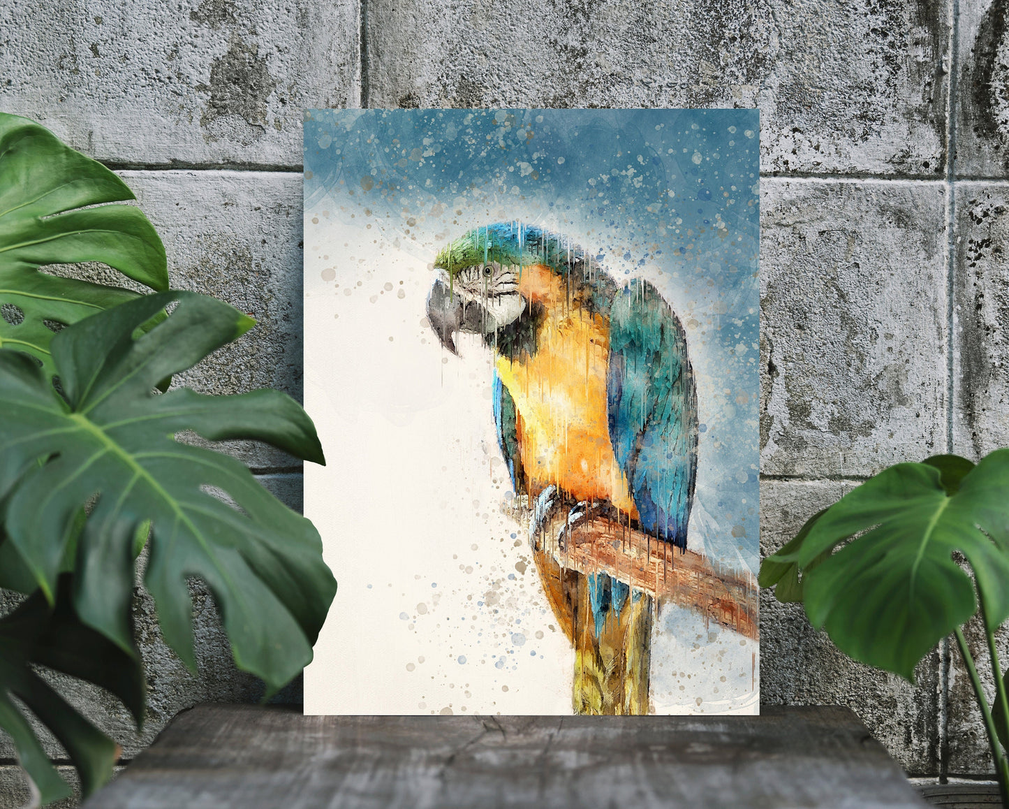 Blue Parrot  Fine Art Print