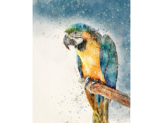 Blue Parrot  Fine Art Print