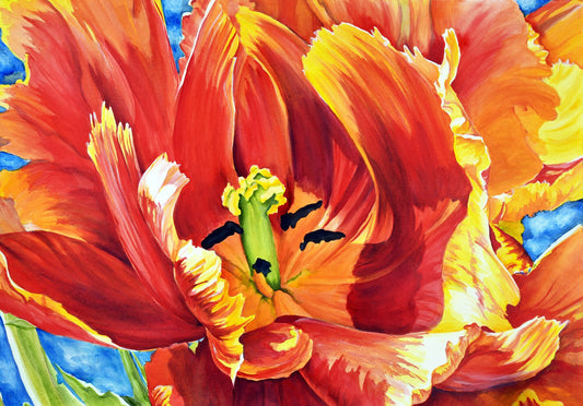 Giant Tulip Fine Art Print