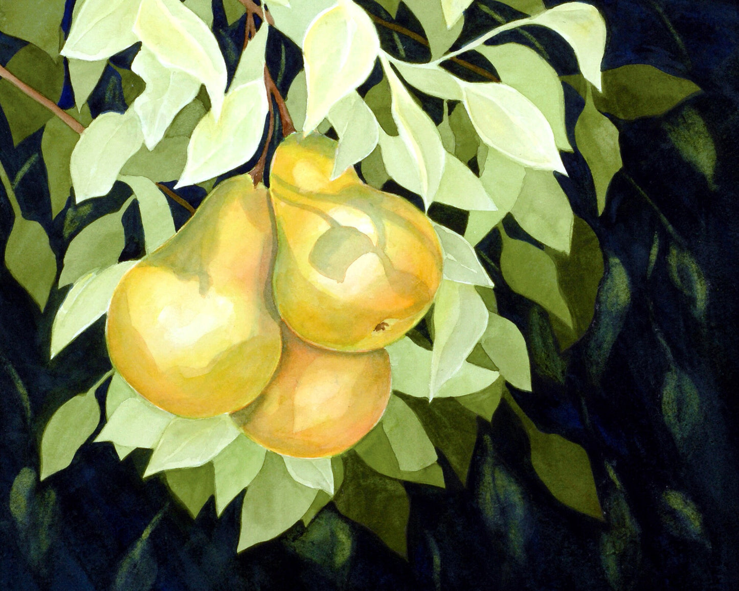Watercolor Pears Fine Art Print