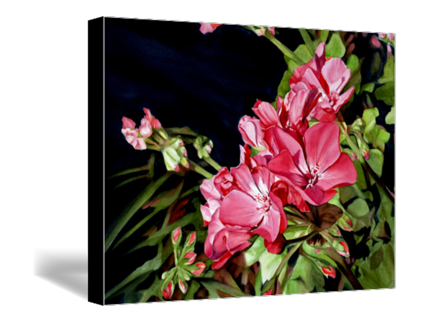Large Wall Art, Watercolor Flowers, Pink Floral Painting, Above Bed Decor, Canvas Print