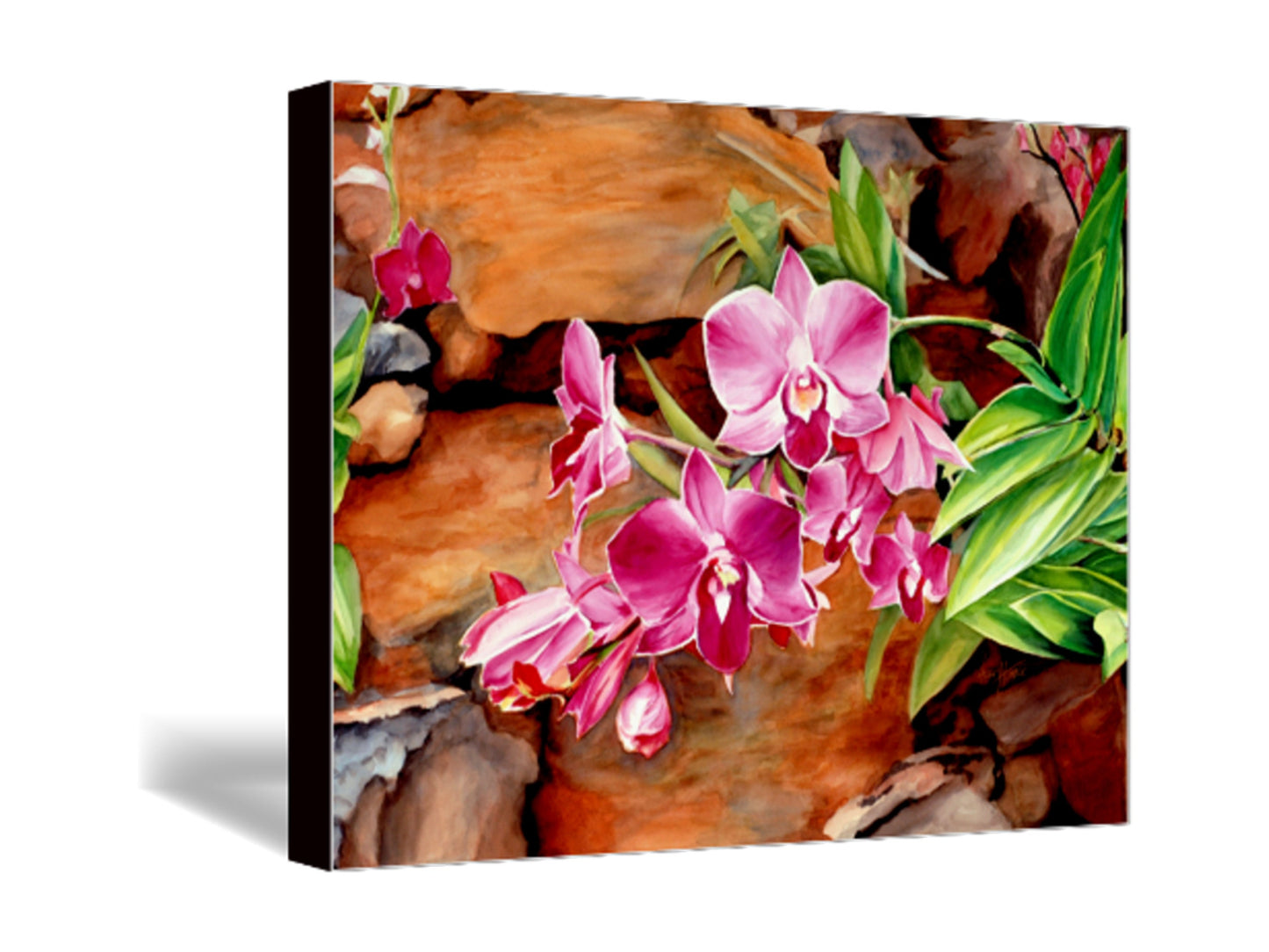 Hawaiian, Orchid, Flower Painting, Above Bed Decor, Large Wall Art
