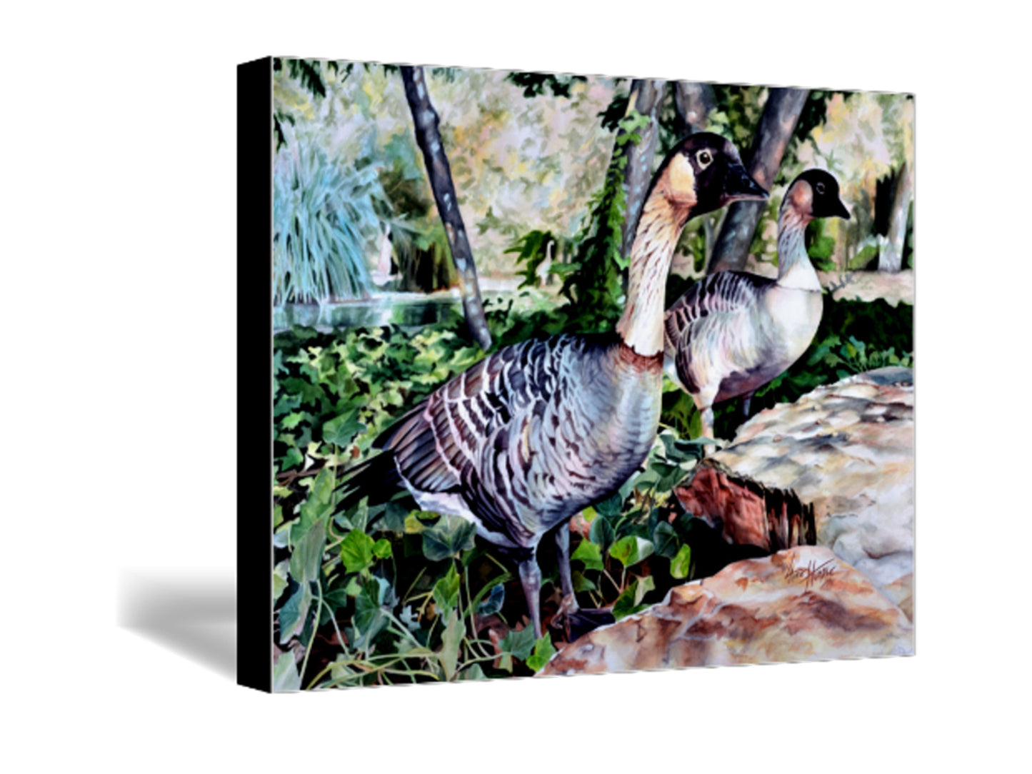 Canadian Goose Watercolor Painting Fine Art Print