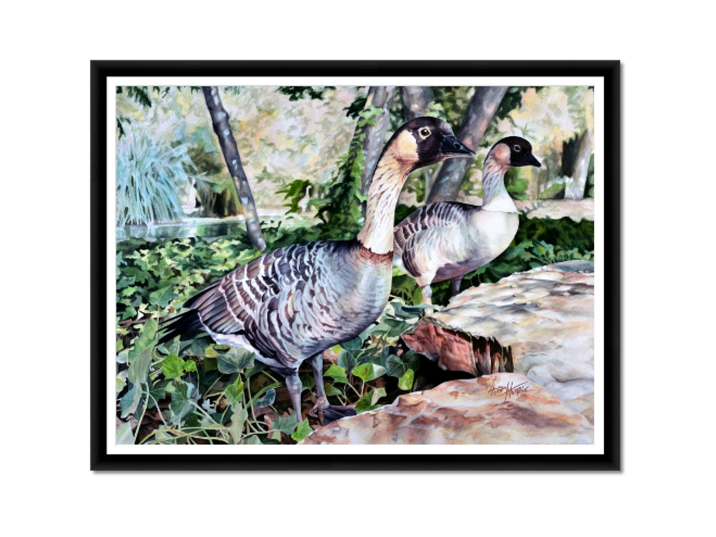 Canadian Goose Watercolor Painting Fine Art Print