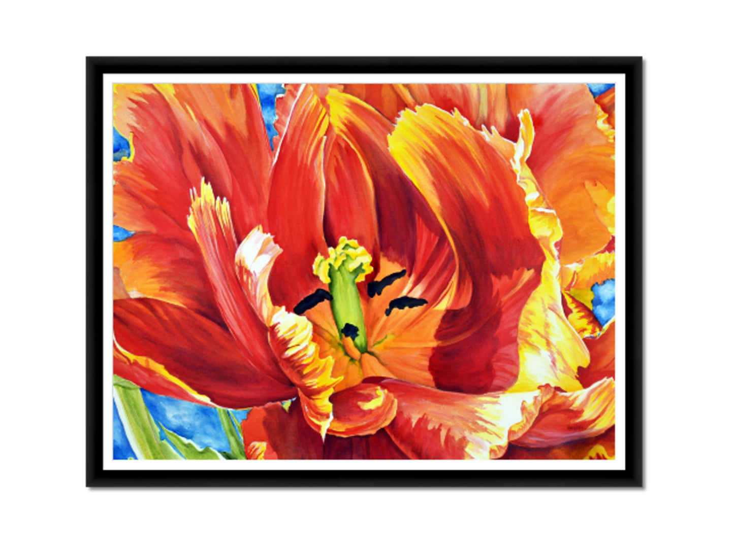 Giant Tulip Fine Art Print