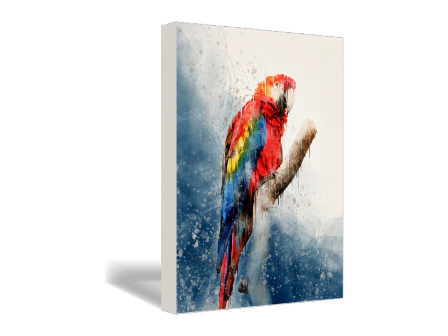 Red Parrot Fine Art Print