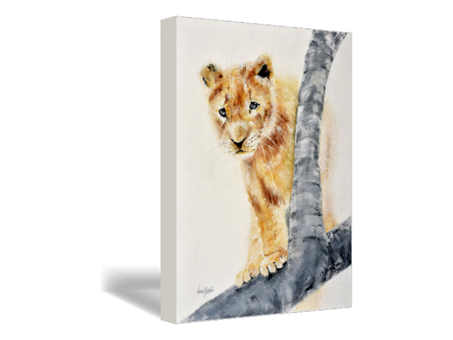 Lion Cub Fine Art Print