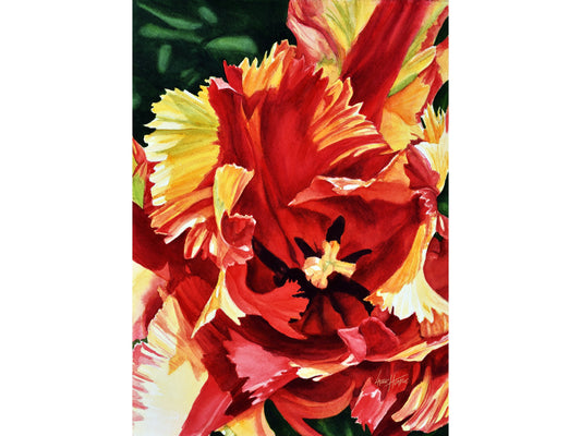 Fringe Tulip Fine Art Print