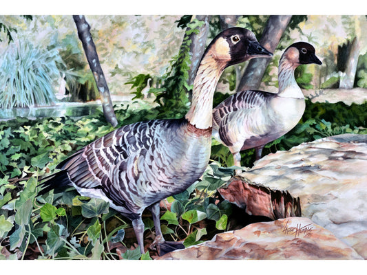 Canadian Goose Watercolor Painting Fine Art Print