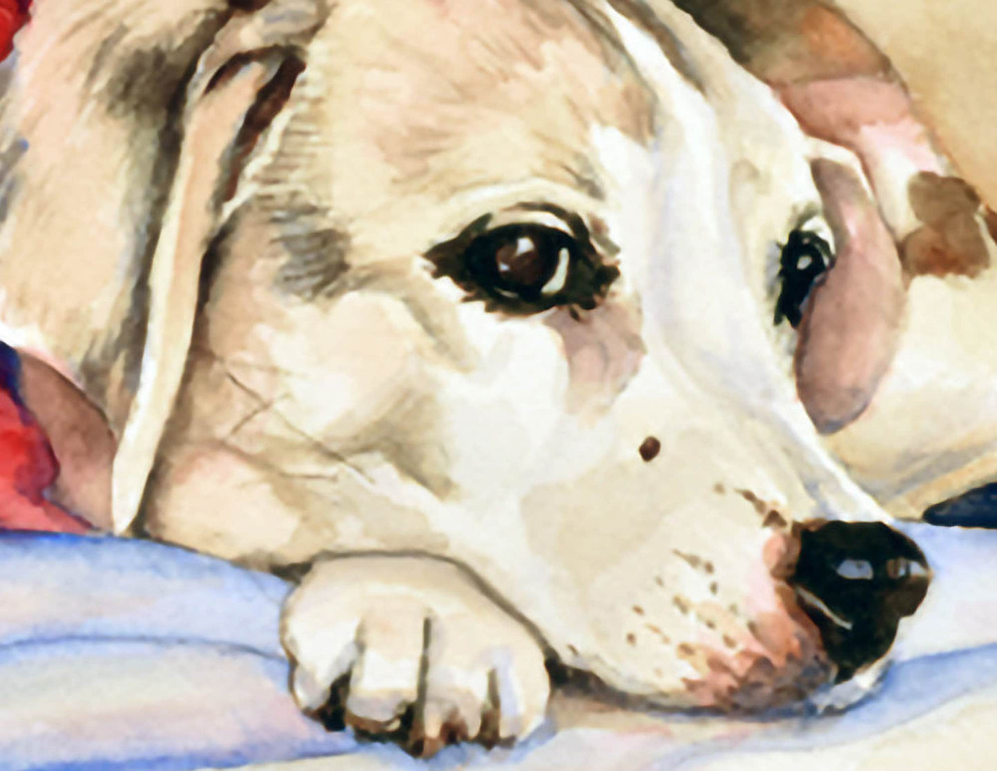 Hand Painted, Custom Watercolor Pet Portrait Commission