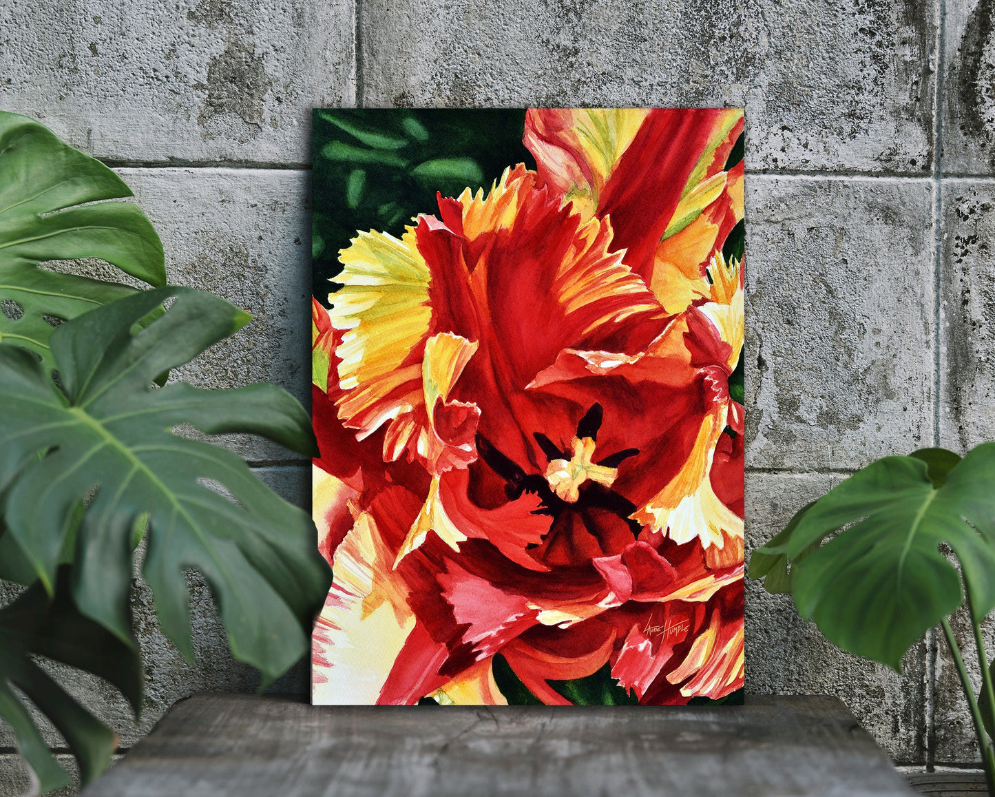Red Tulip Digital Print